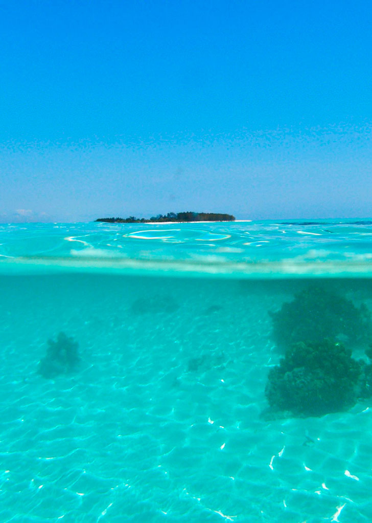 Ocean legacy diving center